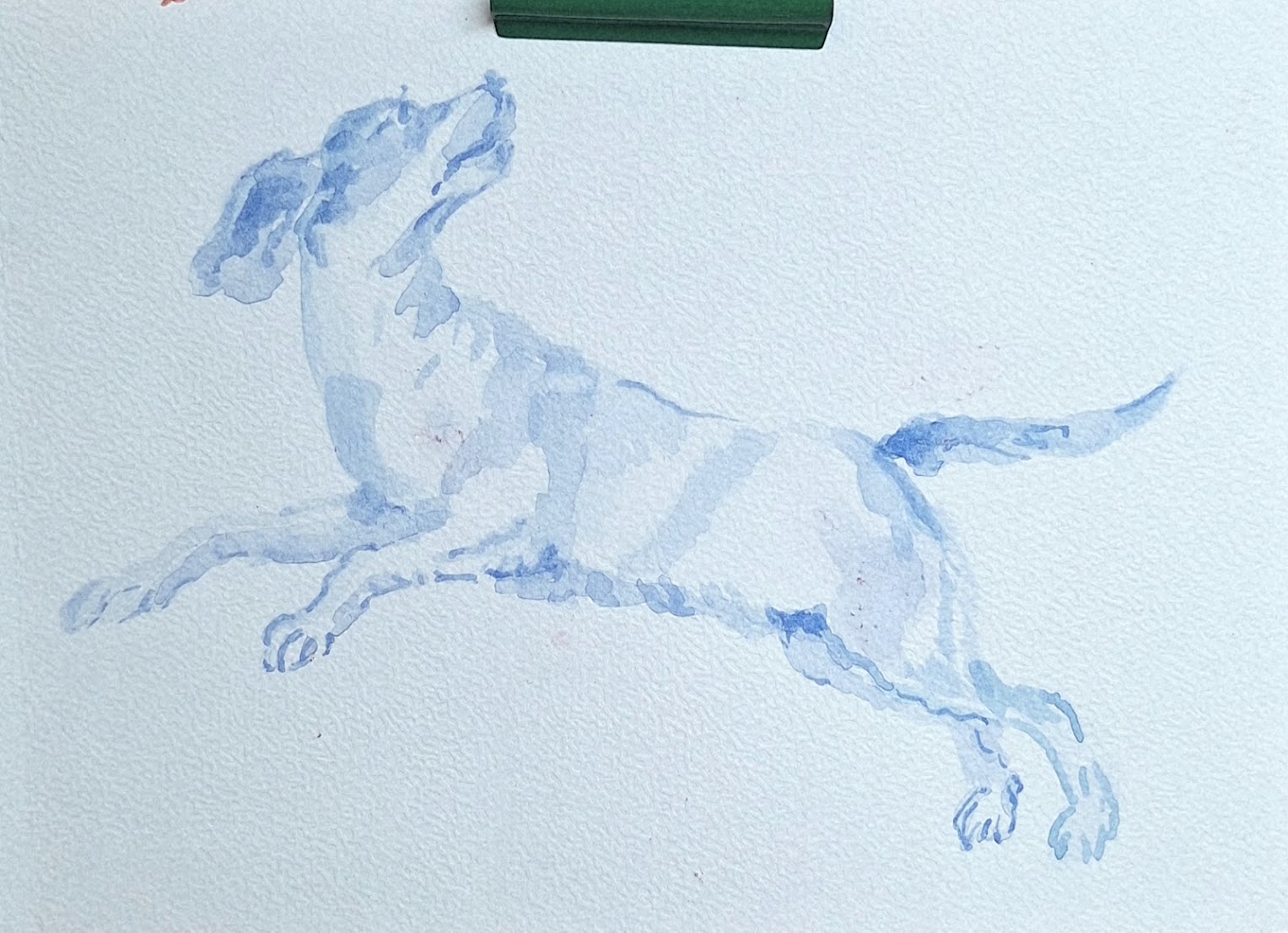 Springende hond blauw